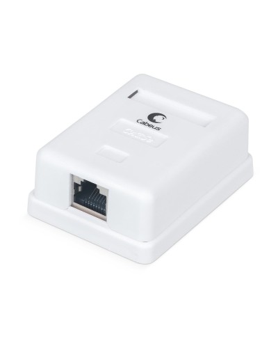 WS-8P8C-Cat.5e-SH-1 (7485c): Розетка RJ-45 в Москве