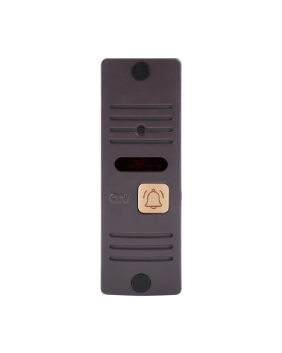 CTV-D10 Plus B (гавана). Вызывная панель цветная. CTV в Москве