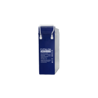 F.ETALON FTE 12-125. Аккумулятор герметичный свинцово-кислотный. ETALON