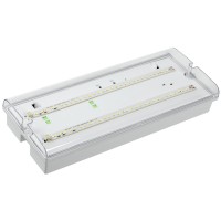 Светильник аварийный ДПА 5042-1 1ч IP65 LIGHTING (LDPA0-5042-1-65-K01). Светильник аварийный универсальный. IEK