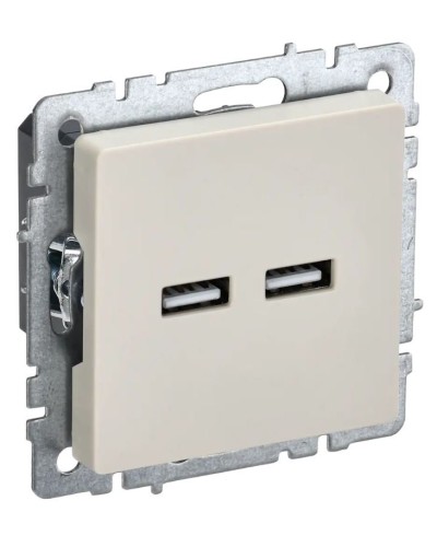 Розетка USB A+A 3,1А РЮ10-1-БрКр бежевый BRITE (BR-U21-D31-K10). Розетка USB. IEK в Москве