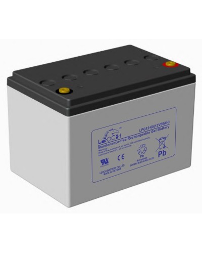 LEOCH LPG 12-60. Аккумулятор герметичный свинцово-кислотный. LEOCH в Москве