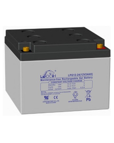 LEOCH LPG 12-24. Аккумулятор герметичный свинцово-кислотный. LEOCH в Москве