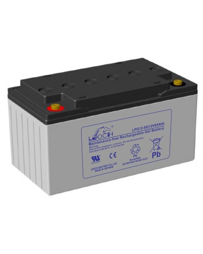 LEOCH LPG 12-65. Аккумулятор герметичный свинцово-кислотный. LEOCH в Москве