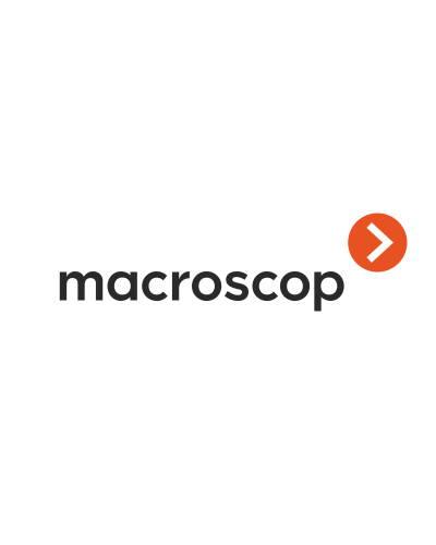 Расширение с LS до ST. Программное обеспечение (опция). MACROSCOP в Москве
