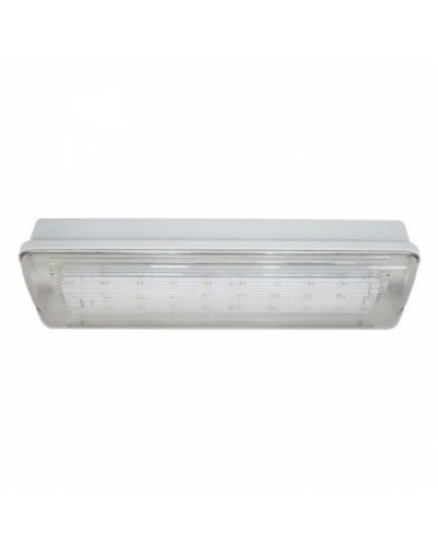 SL-213-30LED1.8 исп. 1 IP65. Светильник аварийного освещения. ИП Раченков А.В. в Москве